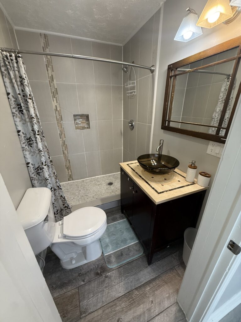 Unit 4 bathroom