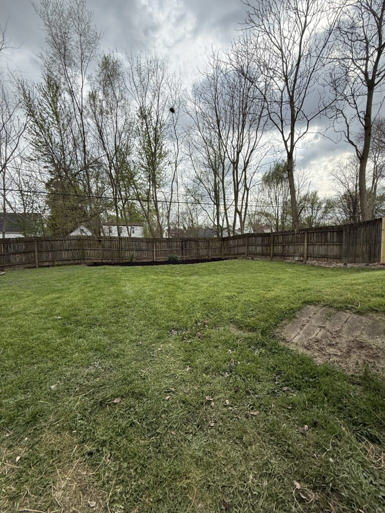 Backyard - 805 E Taylor